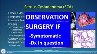 Pancreatic Cysts – Making Sense of Differing Guidelines [upl. by Aniryt342]