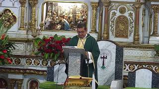 Eucaristía miércoles 20 de noviembre de 2024  600 am Basílica Señor de los Milagros de Buga [upl. by Feirahs]