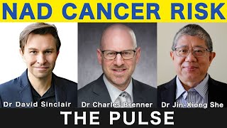 Does NMN Cause Cancer  Experts Discuss [upl. by Durante]