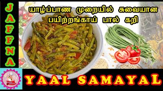 யாழ்ப்பாணத்து பயிற்றங்காய்கறி  Jaffna Style Long Beans Curry in Tamil  Payathangai curry [upl. by Gudren]