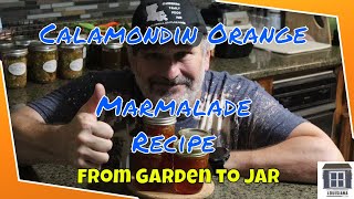 Calamondin Orange Marmalade Recipe From Garden to Jar [upl. by Erret]