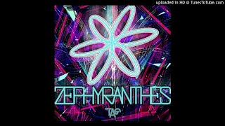 TAG  ZEPHYRANTHES [upl. by Leddy]