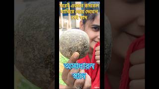 দারুন স্বাদে কদবেল মাখা  Kodbel Makha Recipe In Bengali  Village Food Recipe  Alpana kithen [upl. by Wexler]