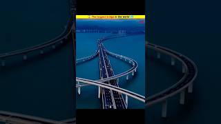 😱 The longest bridge in the world 🥶 shorts MRINDIANHACKER CrazyXYZ [upl. by Aerdnaid]