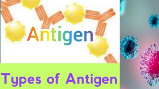 Antigen  Antibody  types of Antigen  Antigen antibody reaction  agglutination  agab reaction [upl. by Ujawernalo]