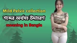 Mild pelvic collection meaning in Bangla  mild pelvic collection mane ki [upl. by Adliwa]