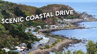 Epic Driving Tour of Wellingtons Stunning Bays  New Zealand 2024 [upl. by Atalanta]