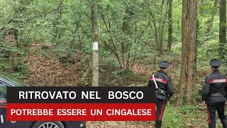 Il cadavere con la testa mozzata ritrovato nel bosco una banconota per risolvere il giallo [upl. by Leinnad]