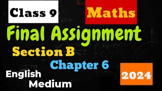 Std 9 Maths 2024  Vikas Final Assignment Section B Chapter 6 Solution  English Medium [upl. by Phox556]