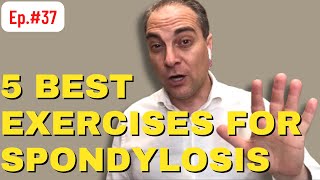 Ep37 5 Best Exercises For Lumbar Spondylosis  Dr Walter Salubro Chiropractor in Vaughan [upl. by Ayekram49]