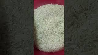 Uncooked rice eatingcrunchy and crispy soundbinkey channelrawriceeatingsound [upl. by Josh]