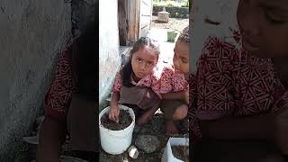 Anak menanam tanaman apotik hidup di dalam wadah [upl. by Richelle672]