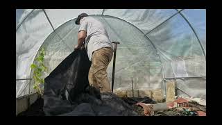 Bills plants stuff in the polytunnel [upl. by Kciderf206]