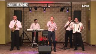 HasuBand si Florin Nan  Nu stiu mandra ce bai are live 2014 [upl. by Sill15]