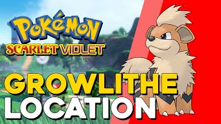 Pokemon Scarlet amp Violet Growlithe Location [upl. by Agathe663]