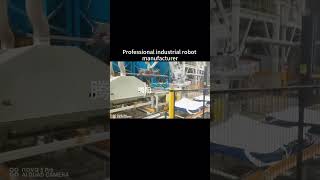 Professional industrial robot manufacturer factory palletizer machine automobile palletizing [upl. by Aryk760]