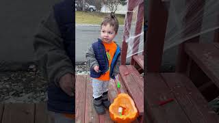 Toddler Is Adorably Outraged After Moose Eats His Pumpkin [upl. by Thordis]