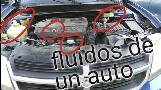 como revisar todos los líquidos o fluidos de un auto [upl. by Malca]