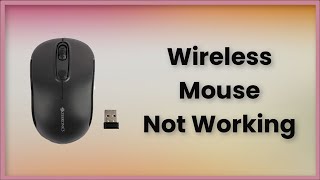 Wireless Mouse Not Working Windows  Fix [upl. by Arakihc]