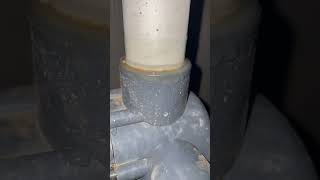 Blue World Pools reviews Leaks around pump pvc pipe I have photos and have contacted the [upl. by Suolekcin]