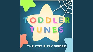 Itsy Bitsy Spider [upl. by Cichocki]