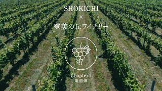 【SHOKICHI×登美の丘ワイナリー】 葡萄畑篇 [upl. by Imogen]