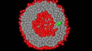 DPD simulations of liposome formation [upl. by Aniham]