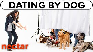 blind dating 6 women by dogs  vs 1 [upl. by Cynthy]