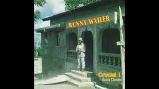 BUNNY WAILER  BODERATION [upl. by Eilhsa474]