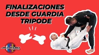 Finalizaciones desde Solapa y Manga Guardia Tripode Jiu Jitsu en Español Bjj [upl. by Crissy]