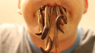 6 ways to catch worms  How to catch earthworms  how to find fishing bait [upl. by Sieber377]