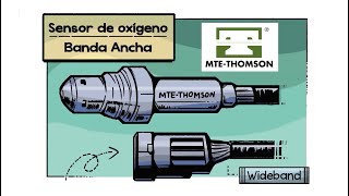 ¿Cómo funciona el Sensor de Oxígeno de Banda Ancha [upl. by Amador]