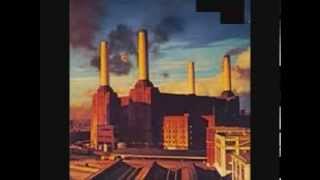 PINK FLOYD  SHEEP SUBTITULOS ESPAÑOL [upl. by Ltney]