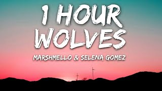 Selena Gomez Marshmello  Wolves Lyrics 🎵1 Hour [upl. by Frost]