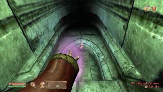 Lets play Oblivion 106 [upl. by Losyram]