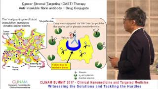 From the Enhanced Permeability and Retention EPR Effect to Cancer Stromal Targeting [upl. by Ramar]