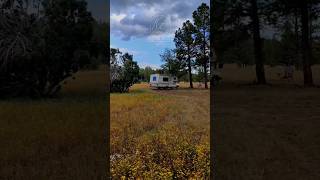 dispersed camping spots nomad dailyvlog rvlife vanlife solo traveler camping foryoupage [upl. by Diba]