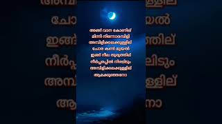 A R M song lyrics 🥰🥰🥰🥰🙂 അങ്ങ് വാന കോണിലെ 🤭 [upl. by Suirauqed]