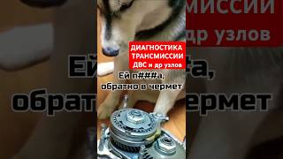 🔴Мой ассистент мастер по ремонту авто рекомендации automobile mechanic ваз2109 2109 ремонт [upl. by Nyrb]