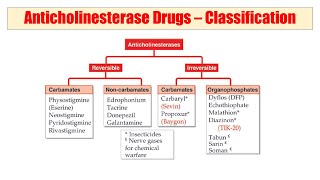 01 Anticholinesterase  Audio Pharmacological Classification of Drugs  काम का है की नहीं आप बताइए [upl. by Macur]