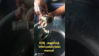 manual carbon cleaning 🧹 EGR  manifold intercooler cleaning 🧼 [upl. by Nylarat]