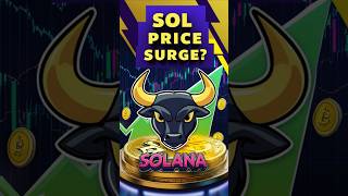 🚀 Solana Price Surge Incoming Latest Predictions for SOL in 2024 [upl. by Naitsirc]