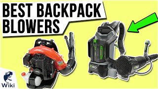 10 Best Backpack Blowers 2020 [upl. by Aynotan820]