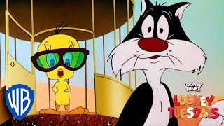 Looney Tuesdays  Did I Saw A Putty Tat  Looney Tunes  WB Kids [upl. by Attezi]