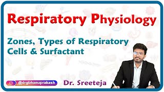 Respiratory Zones Types of respiratory cells and Surfactant  Respiratory Physiology USMLE Step 1 [upl. by Flem]