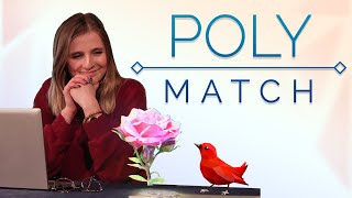 Poly Match Steam [upl. by Nawaj]