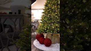 Christmas tree setup 🎄 christmas merrychristmas alliwantforchristmasisyou christmastree [upl. by Alyose266]