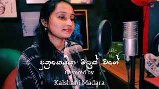 දුනුකෙයියා මලක් වගේ  Dunukeiya Malak Wage  Kalshani Madara Aberathna  Cover song [upl. by Maddi]