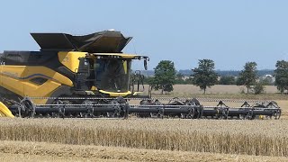 New Holland CR 11 mit 15 Meter  Schneidwerk im Weizenfeld [upl. by Rosenblatt674]