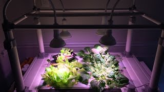 Hydroponic Growbox by Opcom Farm [upl. by Stewart41]